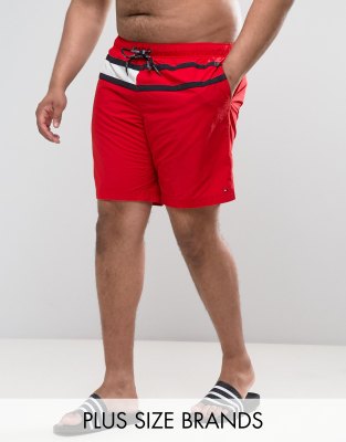 tommy hilfiger plus size swimwear