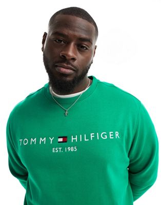 Tommy Hilfiger Plus Fleece Sweatshirt in Green