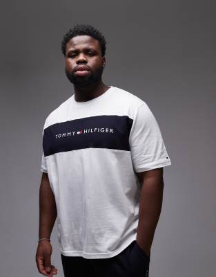 Tommy Hilfiger Plus Original Block Logo T-shirt In White