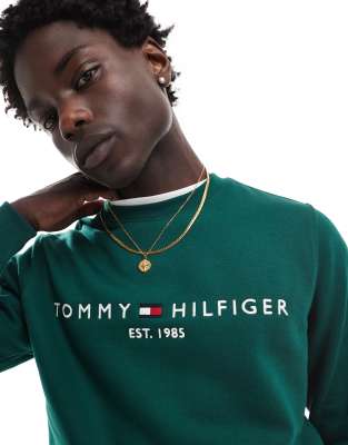 Tommy Hilfiger Regular Fit Sweatshirt in Green Blue