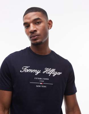 Tommy Hilfiger Script Logo T-shirt In Navy