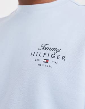 Tommy Hilfiger script stack crew neck sweatshirt in light blue