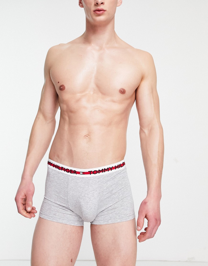 Tommy Hilfiger trunk with logo waistband in gray-Grey