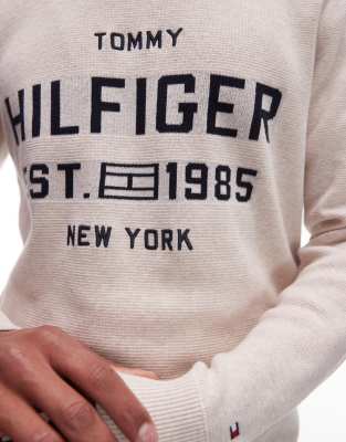 Tommy Hilfiger Varsity Logo Sweater In Neutral
