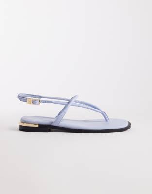 Tommy Hilfiger - Zehenstegsandalen in Babyblau