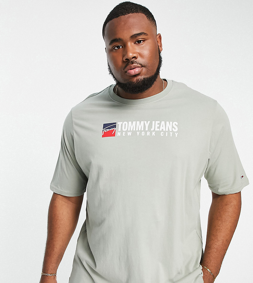 Tommy Jeans Big & Tall central logo t-shirt in khaki-Green