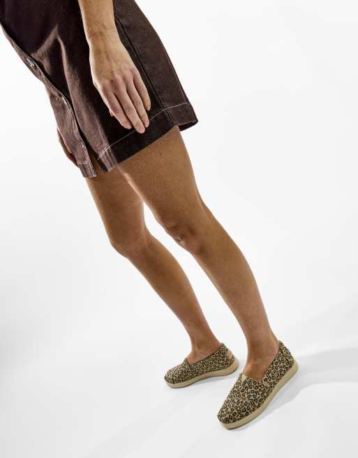 Toms Alpargata plus shoe in multicoloured, 4 of 4