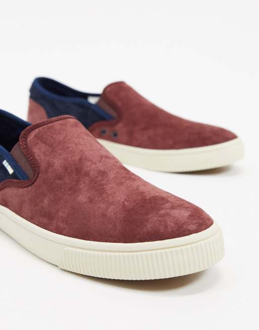 Toms baja slip on trainer in burgundy suede