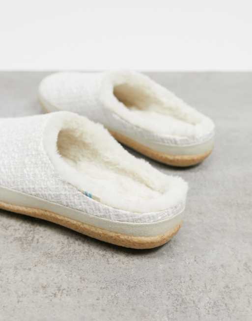 Toms ivy 2024