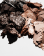 Thumbnail 3 von 4