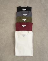 Topman 5 pack classic fit t-shirt in black, charcoal, ecru, khaki and burgundy