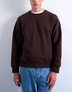 Boxy fit raglan sweatshirt in brown