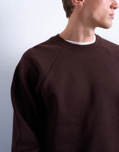 Model wearing Boxy fit raglan sweatshirt in brown