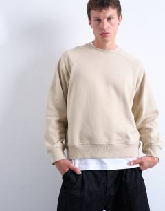 Model wearing Boxy fit raglan sweatshirt in stone