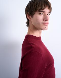 Model wearing Essential crew neck with wool in burgundy