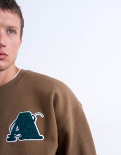 Model wearing Oversized fit sweatshirt with letter embroidery in brown