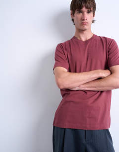 Model wearing Regular fit t-shirt in burgundy