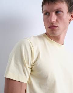 Model wearing Regular fit t-shirt in yellow