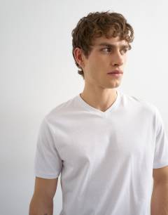 Model wearing Regular fit v neck t-shirt in white