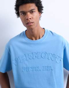Model wearing Relaxed fit t-shirt with Vermont Phys Ed embroidery in washed blue