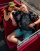 Thumbnail 5 van 5