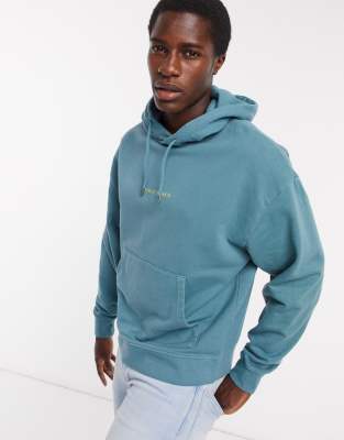 washed green santa monica sweatshirt