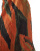 Thumbnail 5 of 5