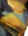 Thumbnail 4 of 4