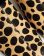 Thumbnail 3 of 5