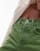 Thumbnail 5 van 5