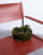 Miniatura 2 z 4