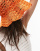 Thumbnail 3 von 4