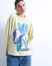 Topshop graphic Giardino Iris skater tee in green