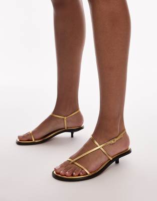 Topshop Inaya Premium Leather Strappy Kitten Heel Sandals In Gold