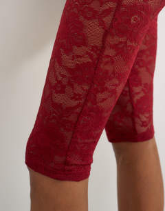 Model wearing Lace capri legging hosiery in burgundy