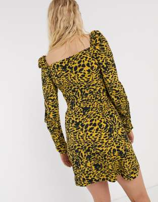 animal print dress up