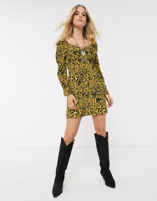 animal print dress up