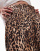 Thumbnail 3 of 5