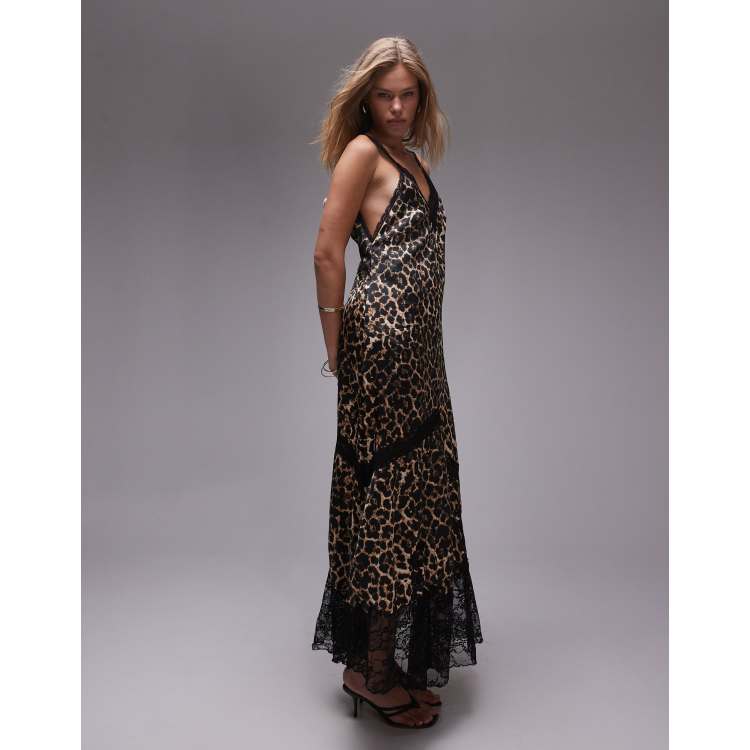 Topshop maxi dress with lace insert in animal print | ASOS
