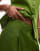 Thumbnail 2 von 5