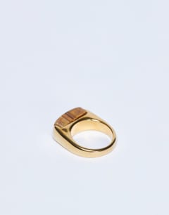 Model wearing Raquel stainless steel tiger stone ring in gold