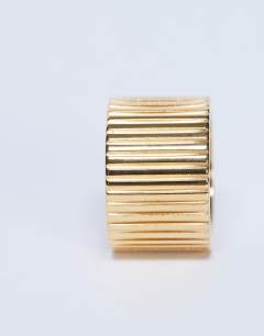 Model wearing Rhodes waterproof stainless steel ring in gold