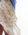 Thumbnail 2 of 5
