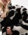 Thumbnail 6 of 7