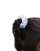 Thumbnail 2 von 4