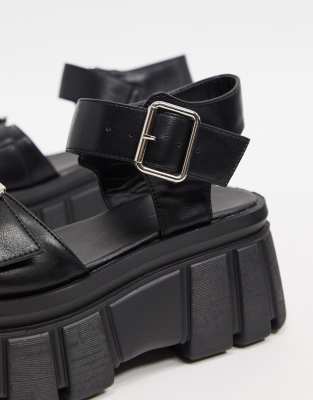 truffle collection brand