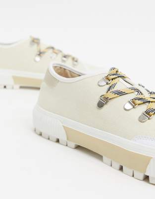 truffle collection brand