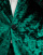 Thumbnail 5 van 5