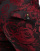 Thumbnail 5 of 5
