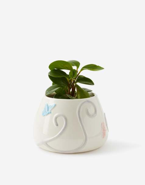 TYPO Midi shaped plant pot in multi - view 1